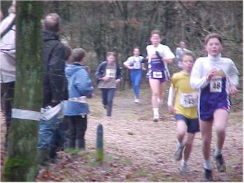 Crossloop 2001