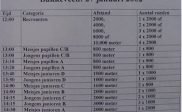 Crossloop 2002