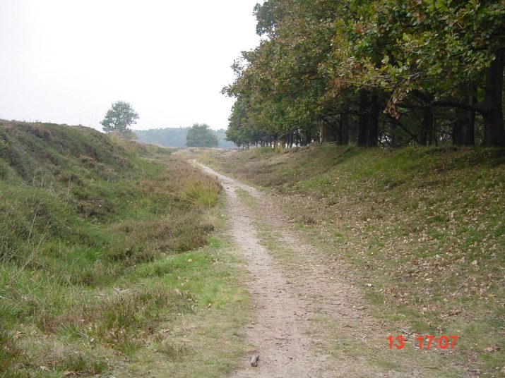 Opening TRAProute