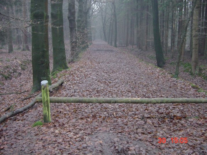 Wampex 2002
