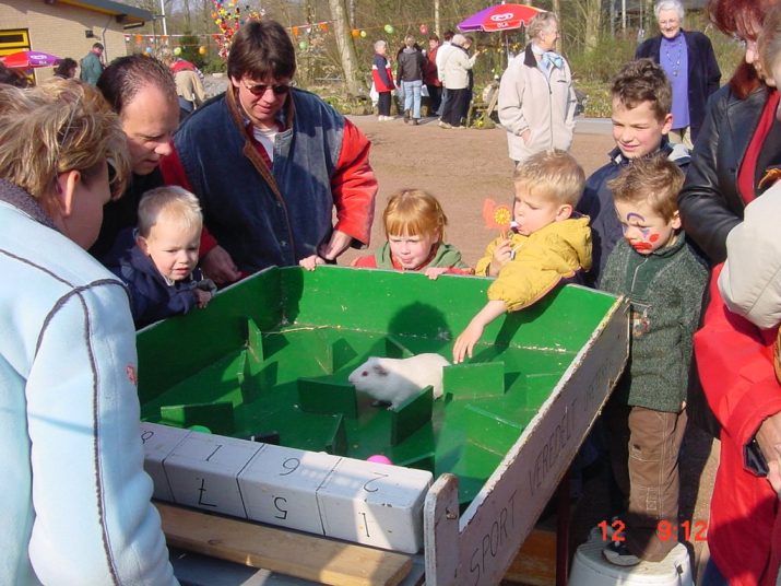 De voorjaarsmarkt van 2003