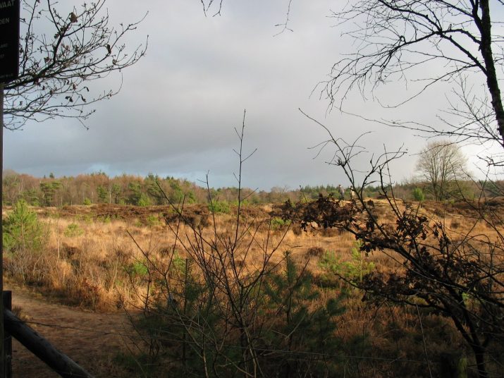 Crossloop december 2003