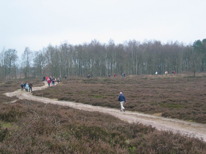 Kerstwandeling 2003: bijna record aantal deelnemers