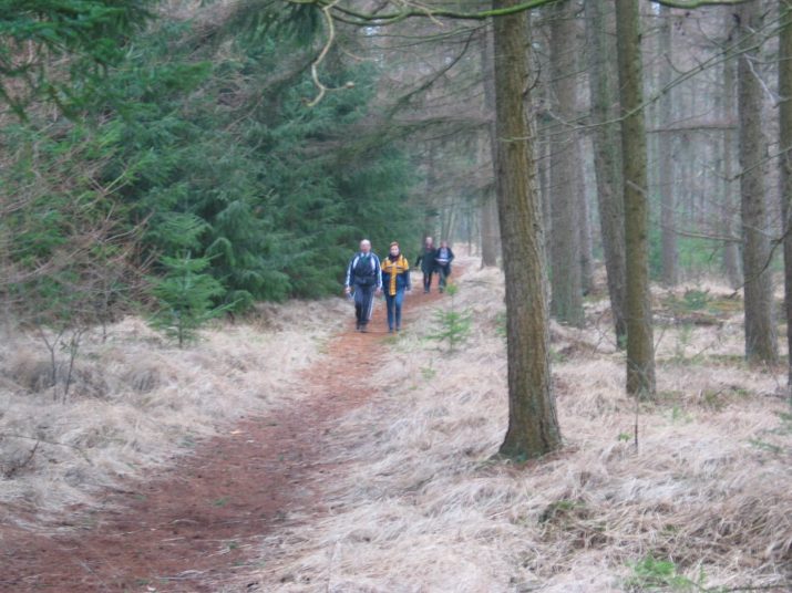 Kerstwandeling 2003: bijna record aantal deelnemers