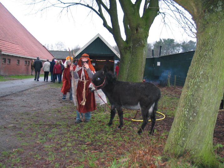 Kerstwandeling 2003: bijna record aantal deelnemers