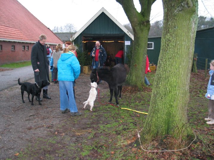 Kerstwandeling 2003: bijna record aantal deelnemers