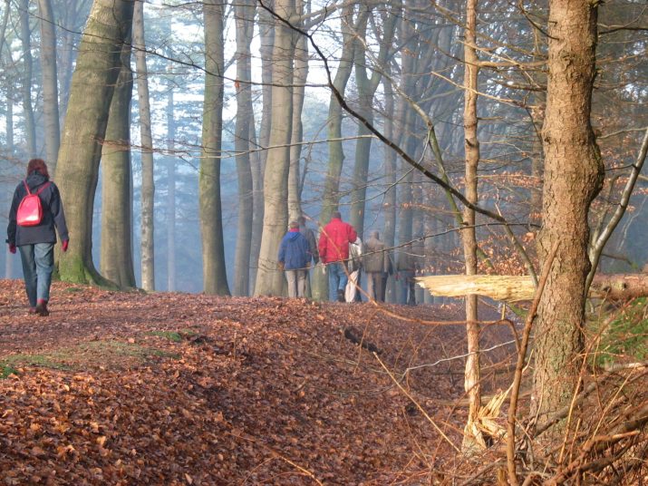 Zeer geslaagde kerstwandeling 2004