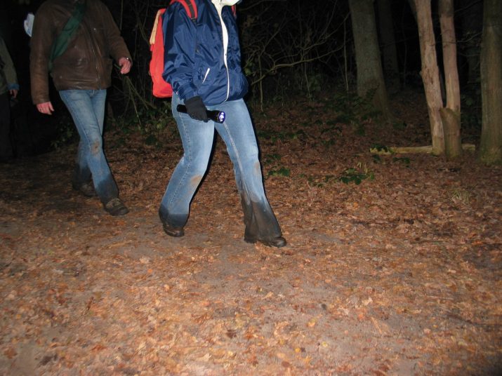 Wampex 2005