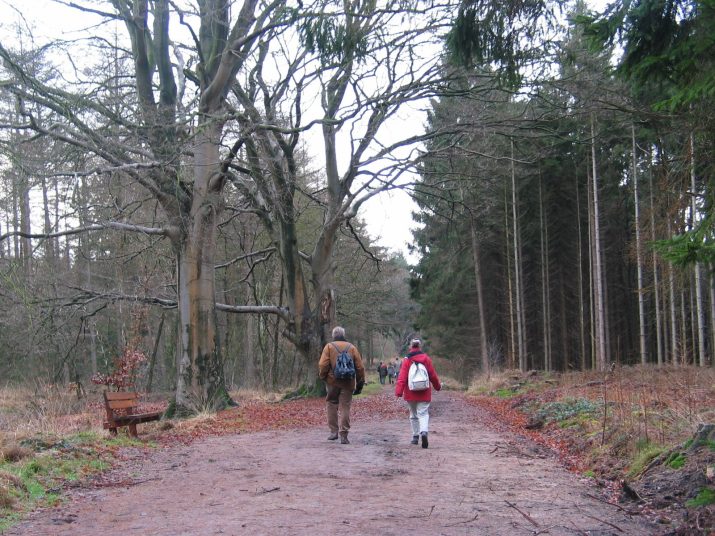 Kerstwandeling 2005