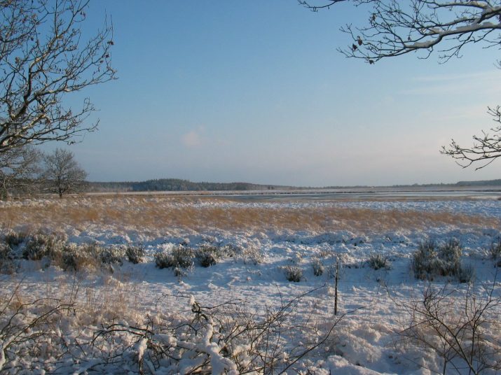 Kerstwandeling 2005