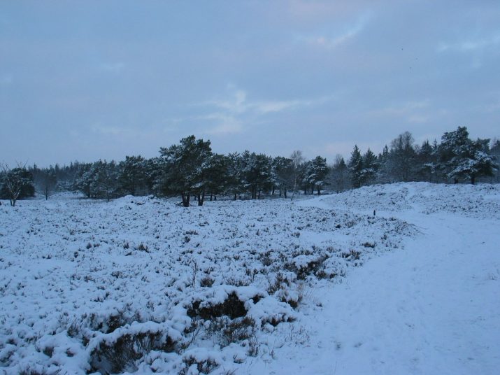 Kerstwandeling 2005