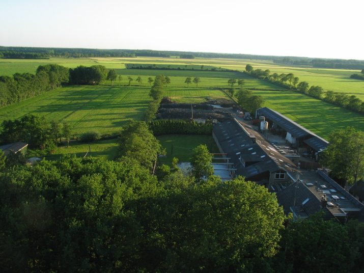 Ballonvaart 2006