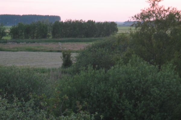 Ballonvaart 2006