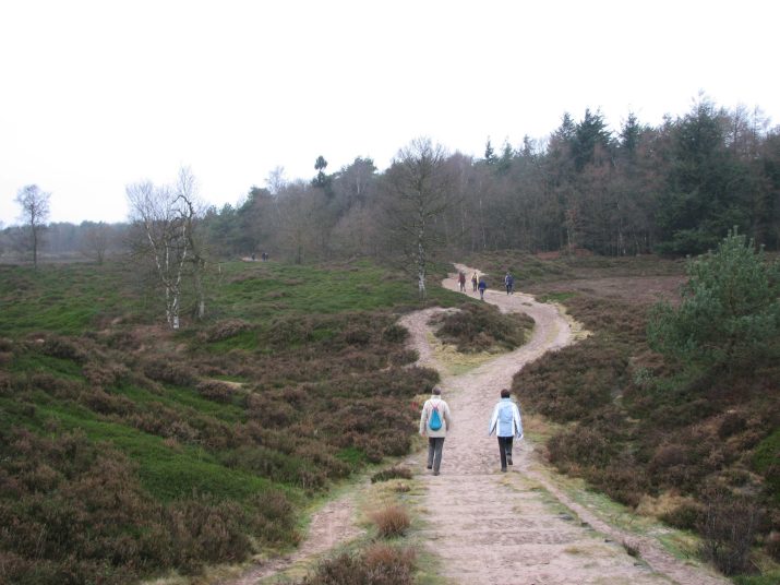 Kerstwandeling 2006