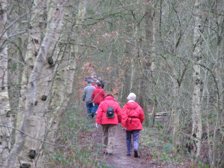 Kerstwandeling 2006