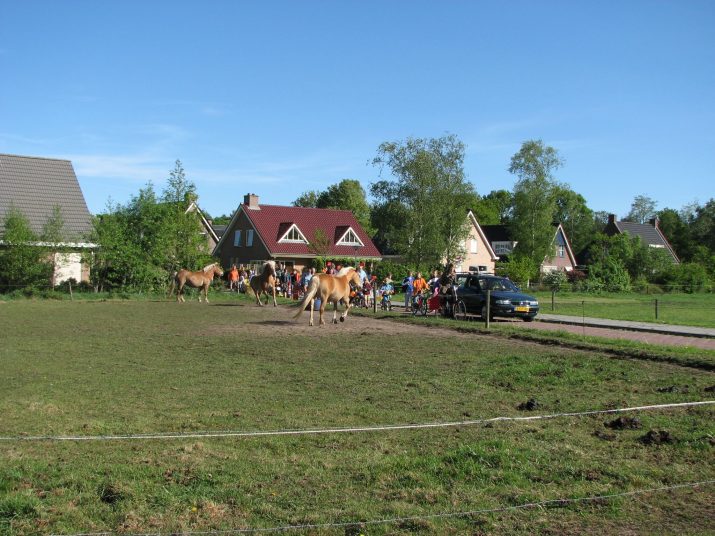Koninginnedag 2007