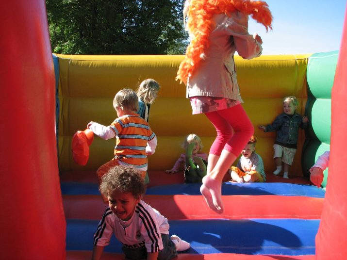 Koninginnedag 2007