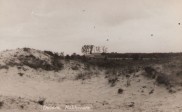 Duinen en scheperij