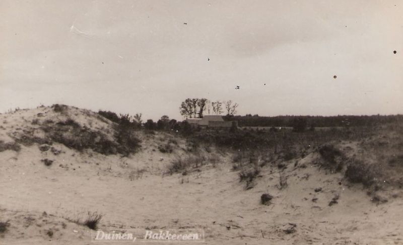 Duinen en scheperij