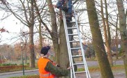 Bakkeveen anno 2007 weer feestelijk verlicht?!