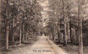 Weg naar Wynjeterp (wd038)