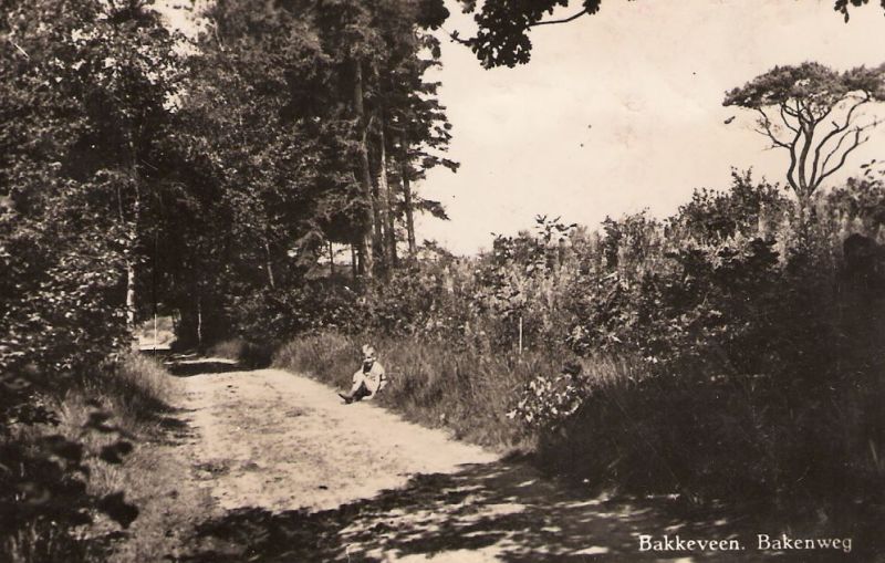 Bakendijk (Wd060)