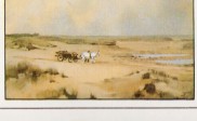 Duinen Plaatje uit verkadealbum (Wd201)