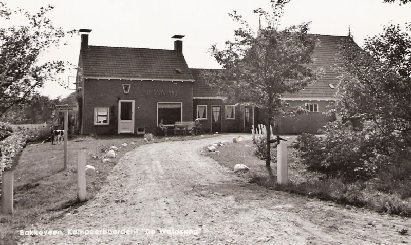 Camping de Waldsang (Wd620)