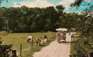 Camping de Waldsang (Wd623)