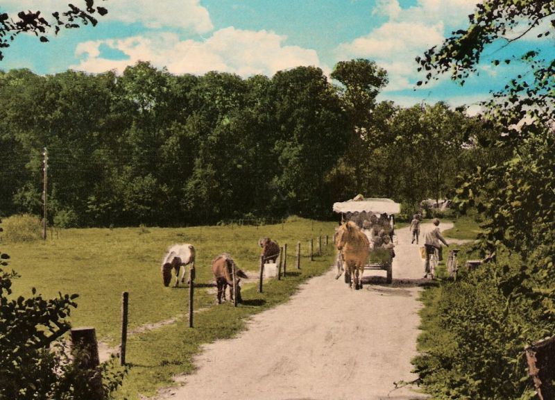 Camping de Waldsang (Wd623)