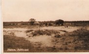 Scheperij Duinen (Wd501)