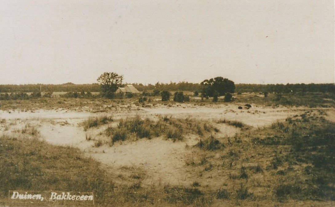 Scheperij Duinen (Wd501)