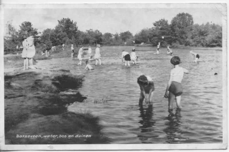 Water, bos en duinen