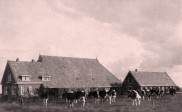 Boerderij "Mandeveld"
