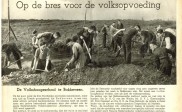 Allardoog