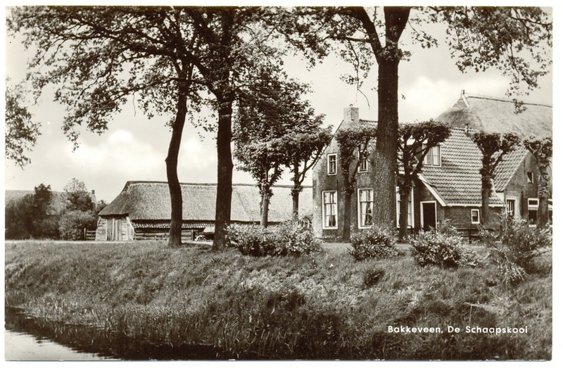 schaapskooi