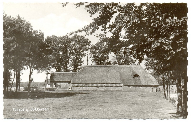scheperij
