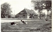 johannastate