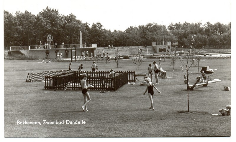 Zwembad speelweide