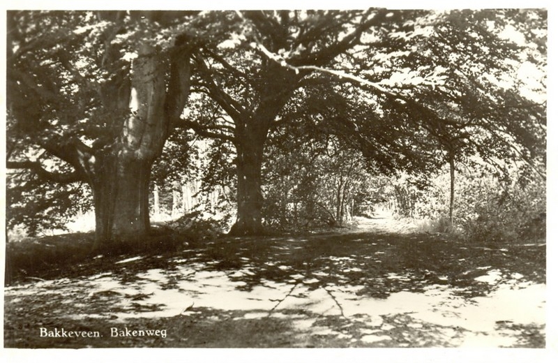 Bakenweg