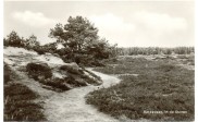 In de duinen