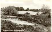Duinen met zandverstuiving