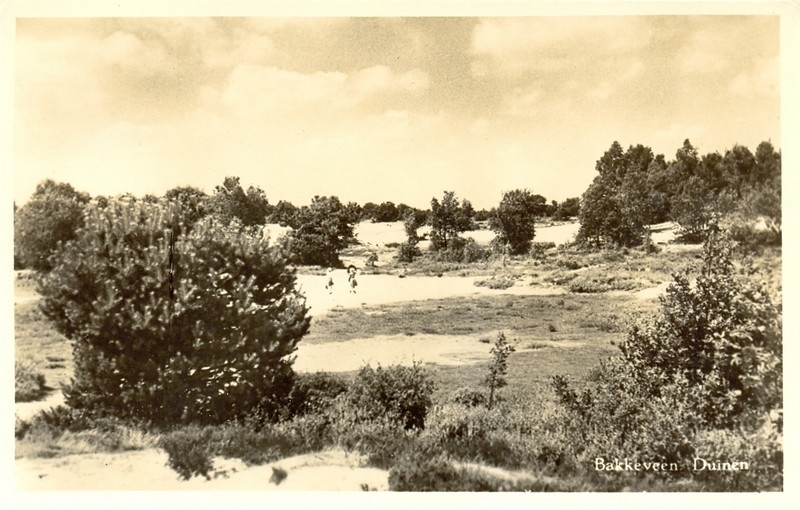 Duinen