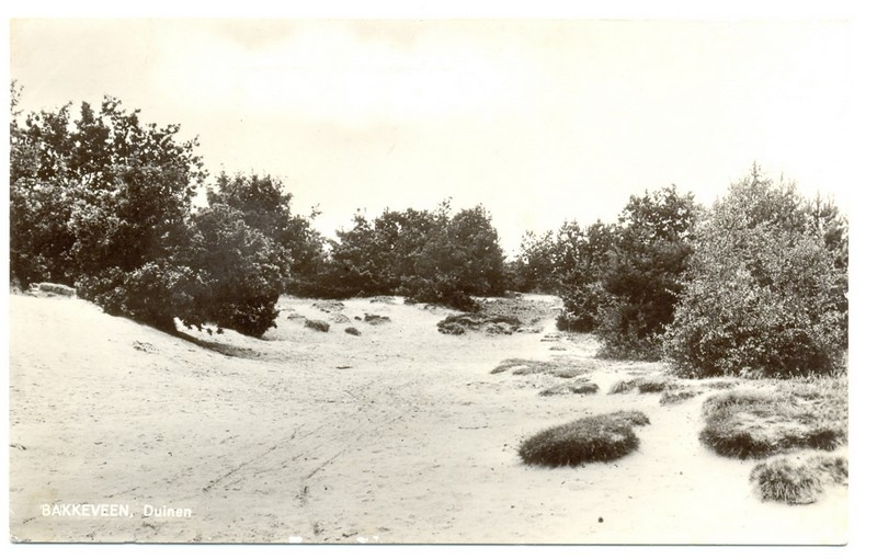 Duinen