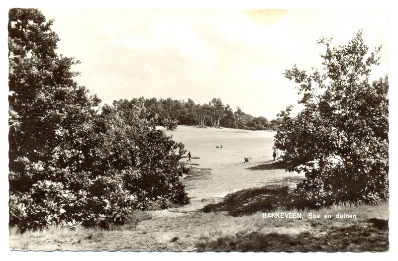 Bos en Duinen