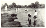 Water Bos en Duinen