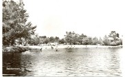 Zwemvijver