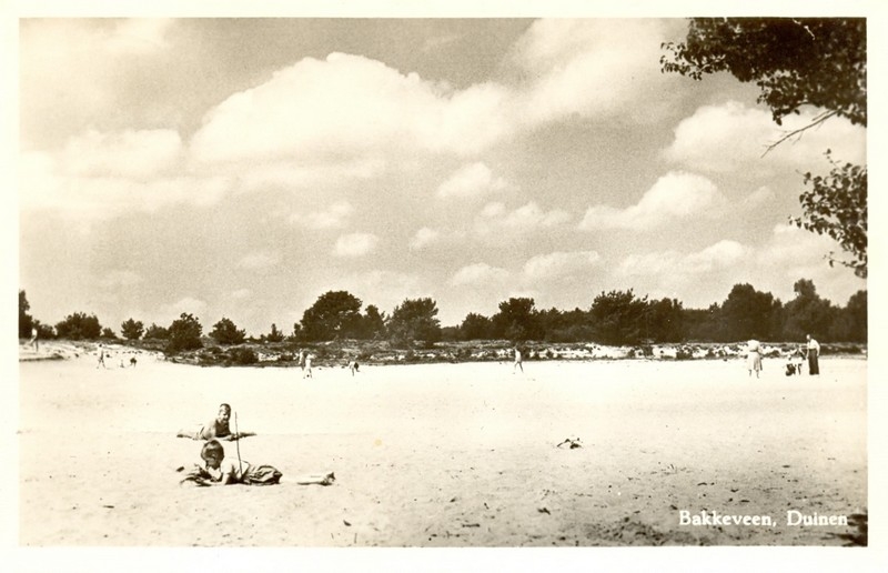 Duinen