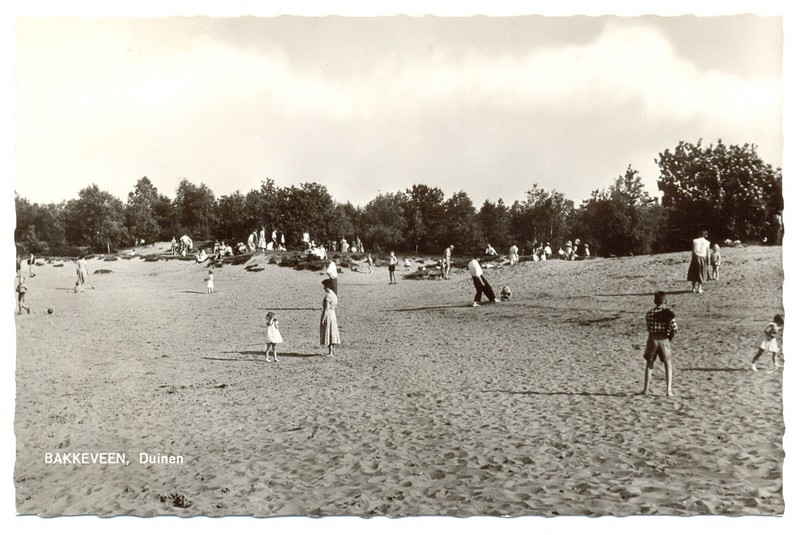 Duinen