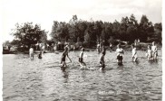 Water bos en duinen